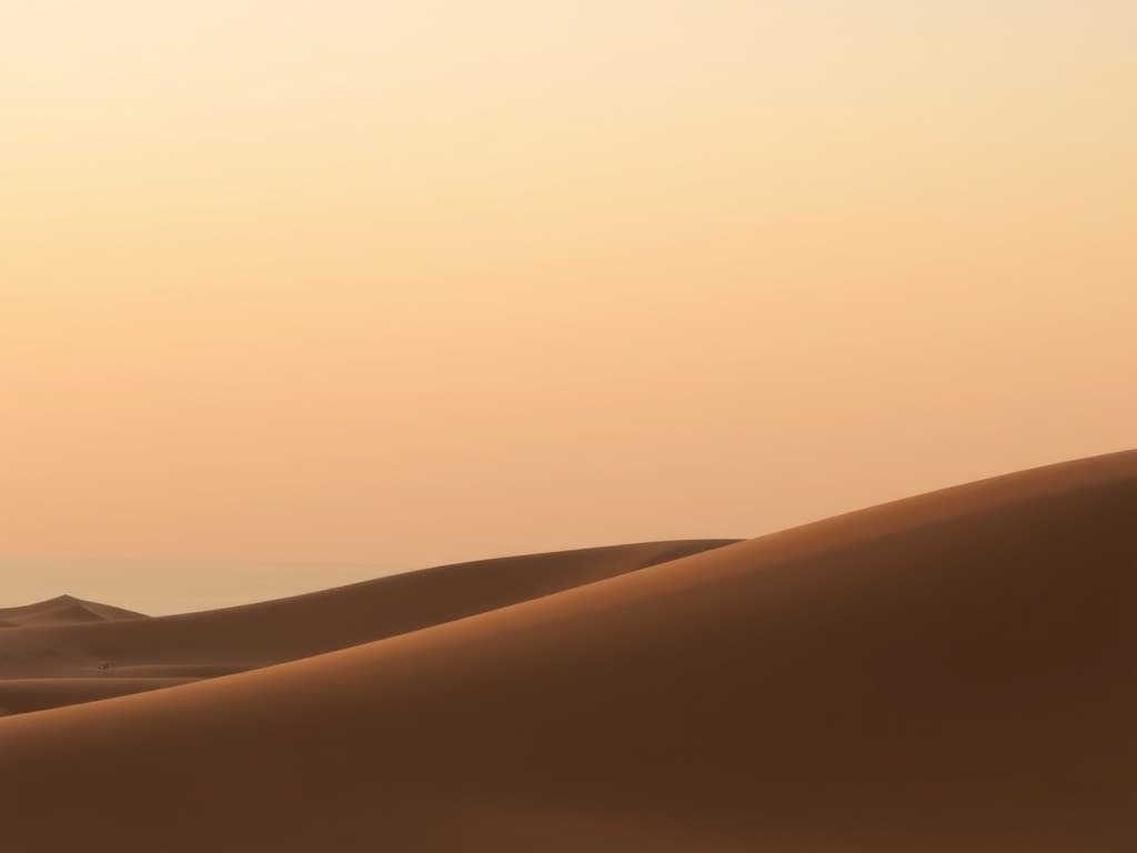 Display image for Dune pfp